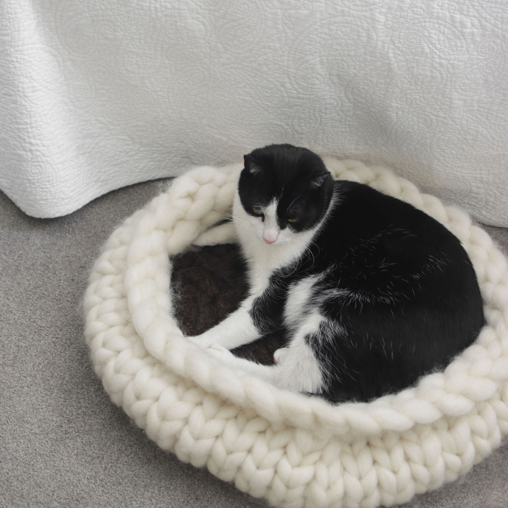 Cat Cocoon