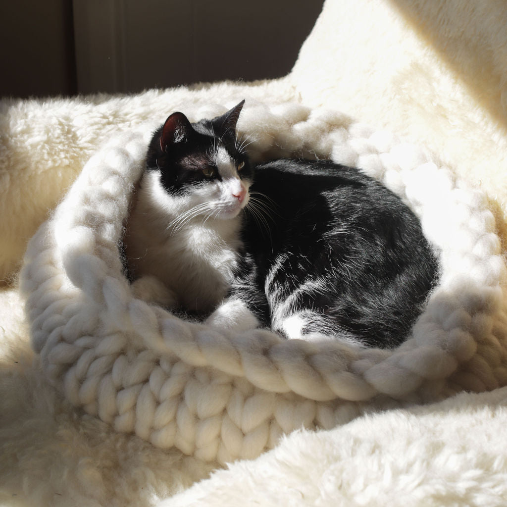 Cat Cocoon