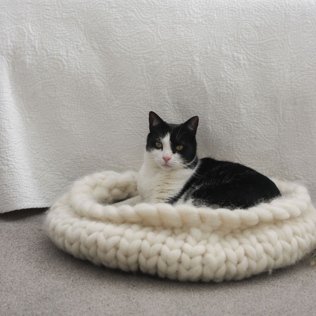 Cat Cocoon