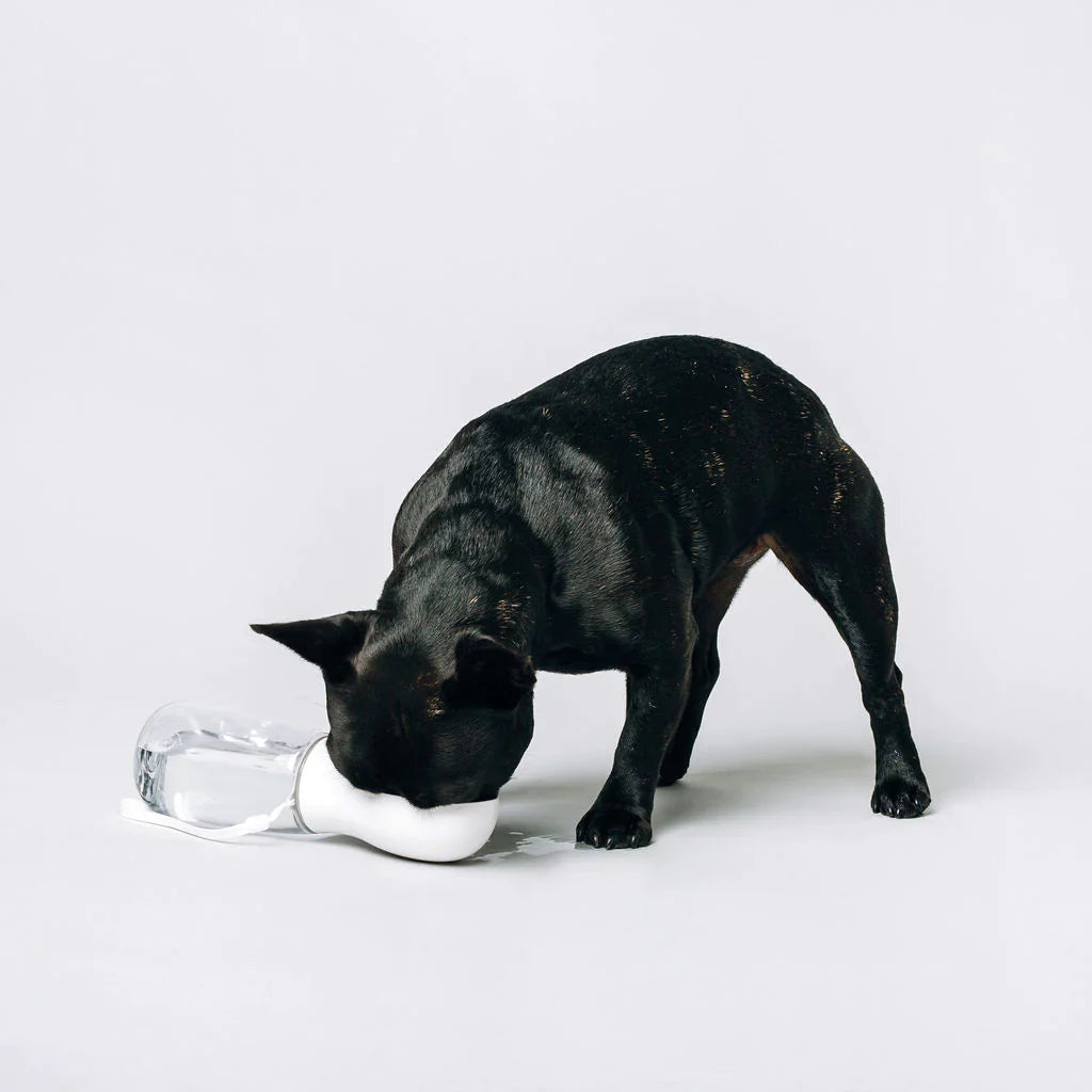 Thirsty Dog Bottle