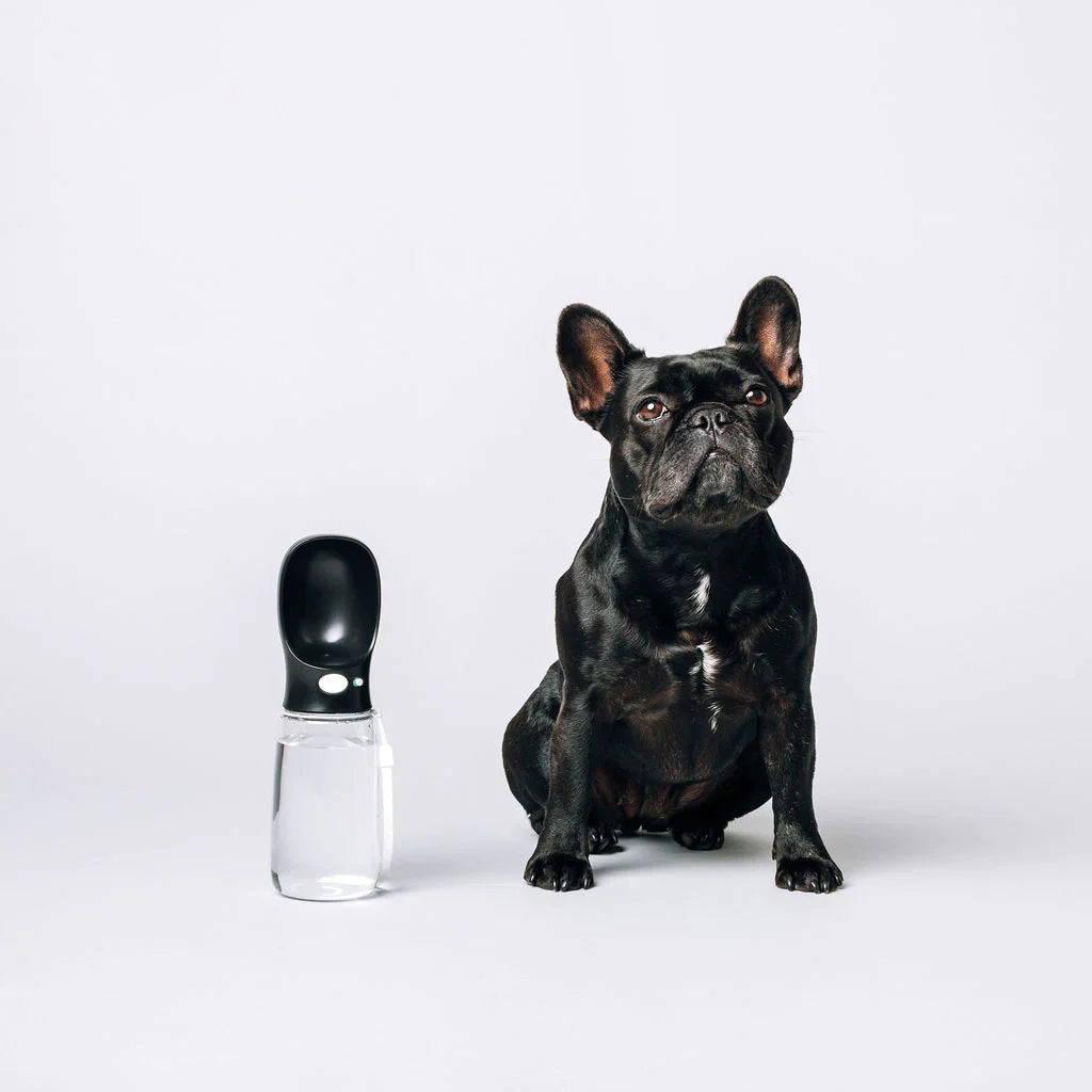 Thirsty Dog Bottle